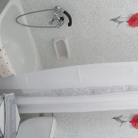 Arkas 4* لوغاراس